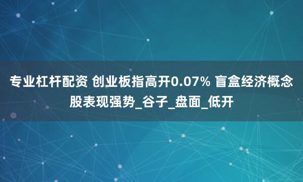 专业杠杆配资 创业板指高开0.07% 盲盒经济概念股表现强势_谷子_盘面_低开
