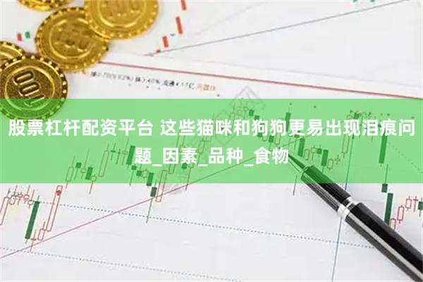 股票杠杆配资平台 这些猫咪和狗狗更易出现泪痕问题_因素_品种_食物