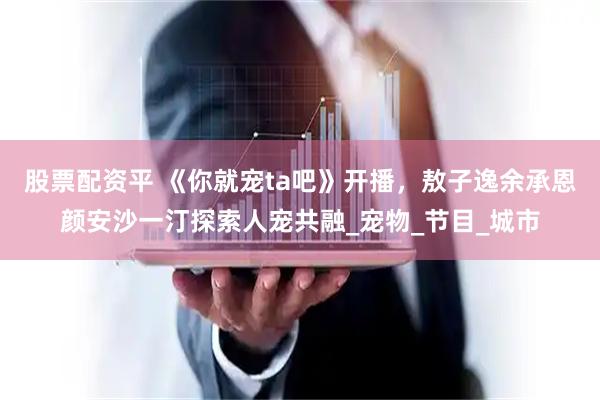 股票配资平 《你就宠ta吧》开播，敖子逸余承恩颜安沙一汀探索人宠共融_宠物_节目_城市