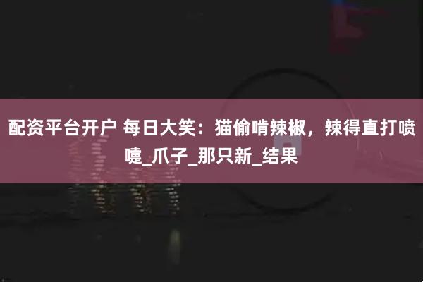 配资平台开户 每日大笑：猫偷啃辣椒，辣得直打喷嚏_爪子_那只新_结果