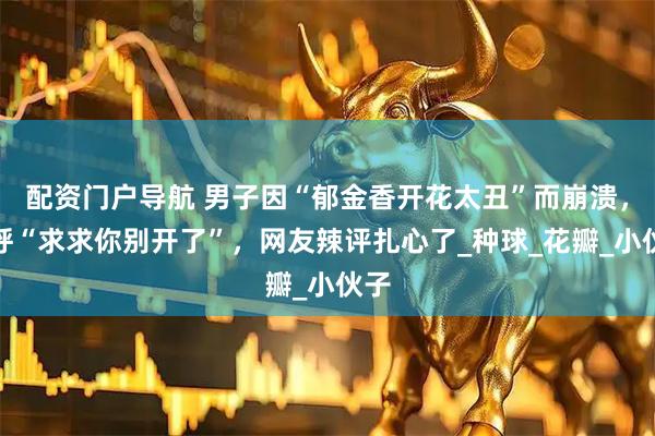 配资门户导航 男子因“郁金香开花太丑”而崩溃，直呼“求求你别开了”，网友辣评扎心了_种球_花瓣_小伙子
