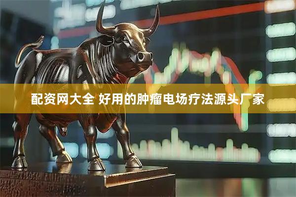配资网大全 好用的肿瘤电场疗法源头厂家